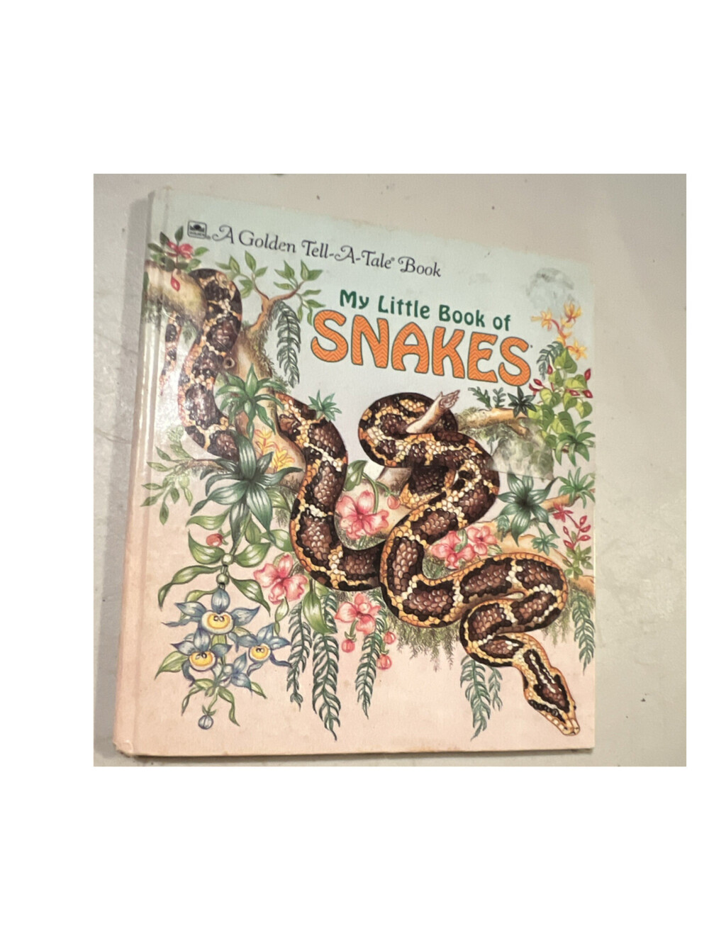 Vintage 1991 My Little Book of Snakes Gina Ingoglia Rosiland Solomon Hardcover